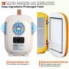 Vevor Mini Skin Care Fridge, 4 L/6 Can Cute Makeup Fridge for Cosmetics Beverage Fruit Milk, AC/DC Cooler & Warmer, Mute Tiny Refrigerator for Bedroom