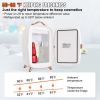 Vevor Mini Fridge for Bedroom, 6L Luxury Skin Care Fridges with Mirror and LED Light, AC/DC Cosmetic Fridge for Office Dorm Car, Small Makeup Refriger