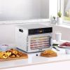 6 Trays Food Dehydrator Machine Stainless Steel 400W Jerky Meat Fruit Drying