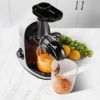 VEVOR Slow Masticating Juicer, Cold Press Juicer Machine with Reverse Function, Quiet Motor Slow Juicer, Juice Extractor Maker Easy to Clean with Brus