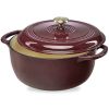 6 Quart Large Cast-Iron Dutch Oven Kitchen Cookware